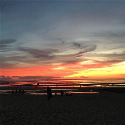 BOB半岛官网入口